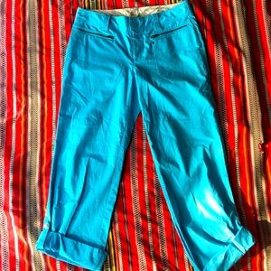 Athleta Casual / Hiking Pants